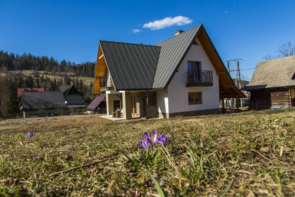 Willa Pod Wierzbami Poronin Exterior foto